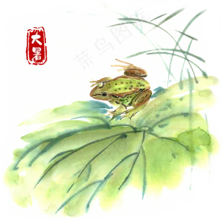 大暑荷叶青蛙水墨画