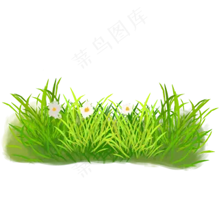 写实风春天绿色草丛野花免扣素材,免抠元素