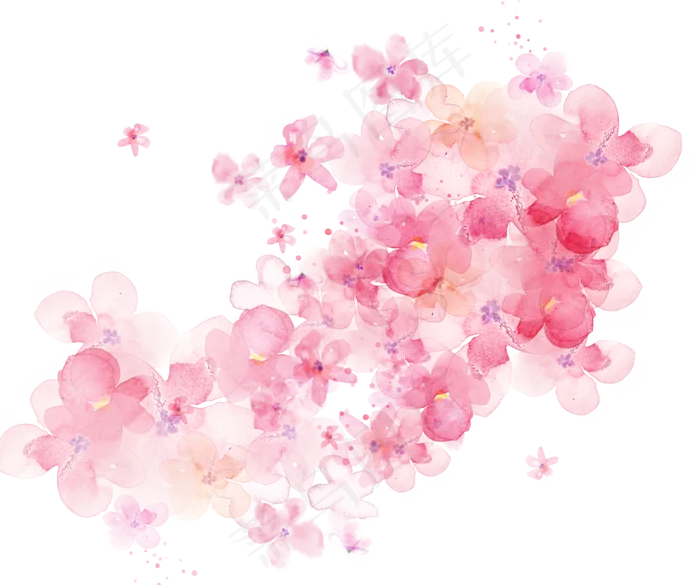 手绘水彩粉色花瓣(3000*2504px 72 dpi )