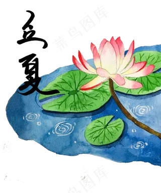 立夏节气莲花荷花农历夏日池塘P