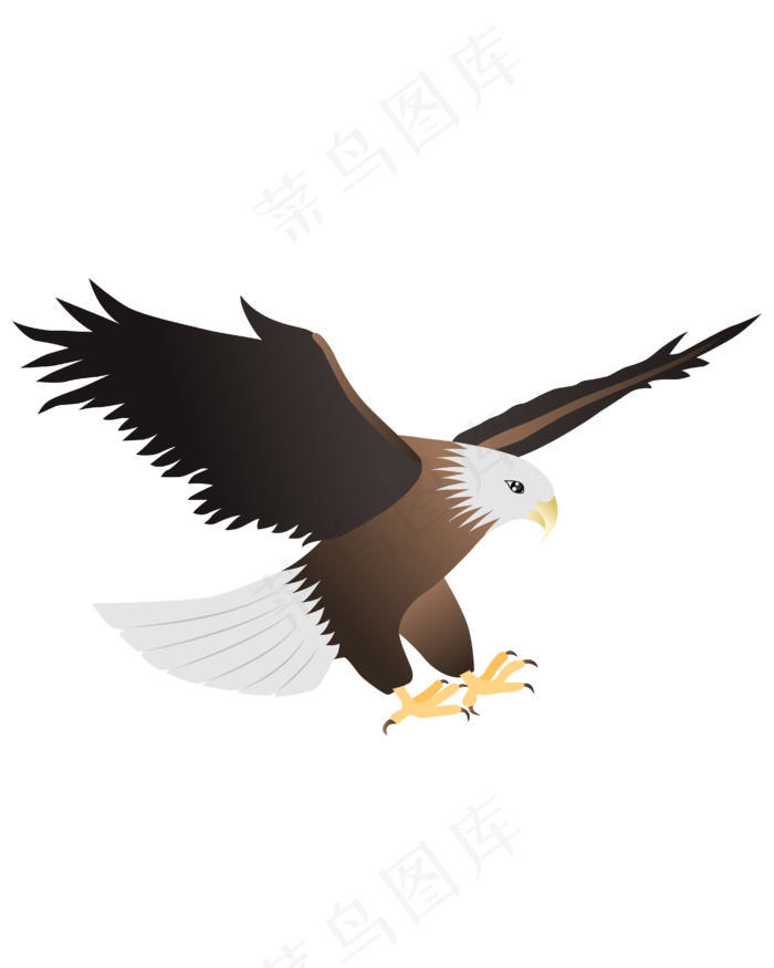 矢量手绘卡通老鹰,免抠元素