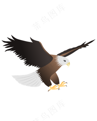 矢量手绘卡通老鹰,免抠元素