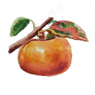 手绘卡通水彩水果柿子