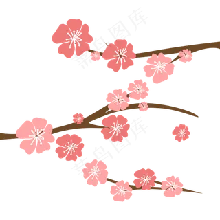 日本樱花插图免费下载