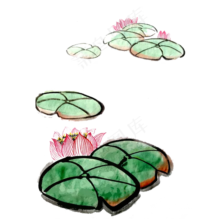 荷花荷叶夏日水墨国画PNG