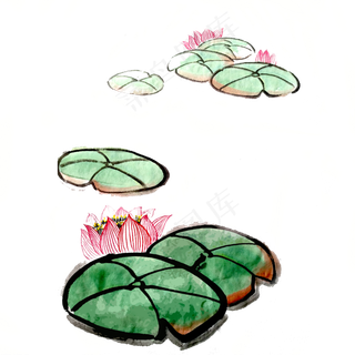 荷花荷叶夏日水墨国画PNG