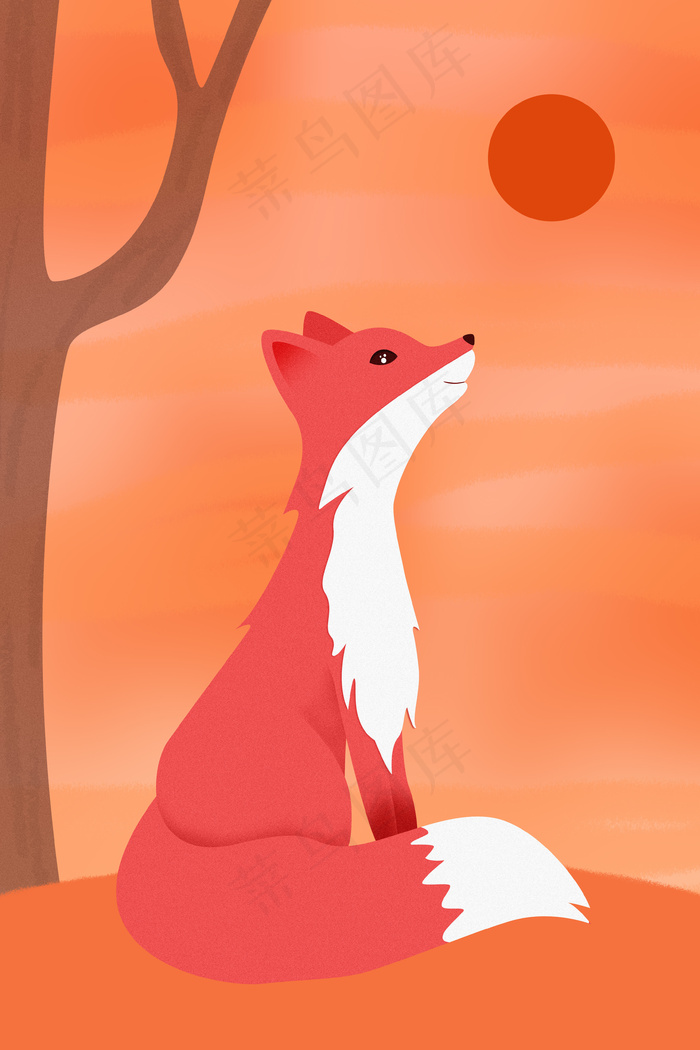 国家野生保护动物红狐插画