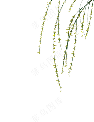 清明节漂浮柳叶手绘