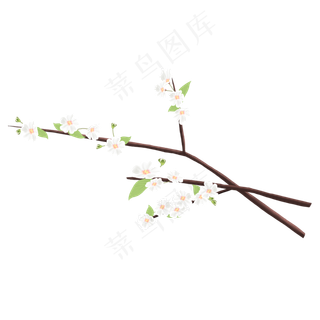 春天白色梨花免抠素材