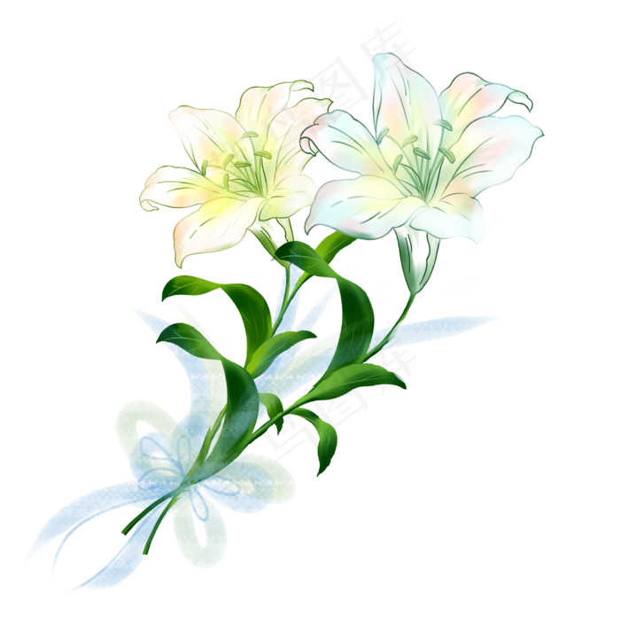 春天百合花手绘装饰图案,免抠元素(3000X3000(DPI:300))psd模版下载