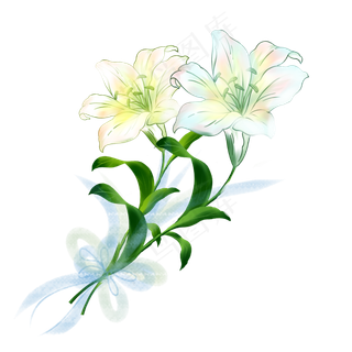 春天百合花手绘装饰图案,免抠元素
