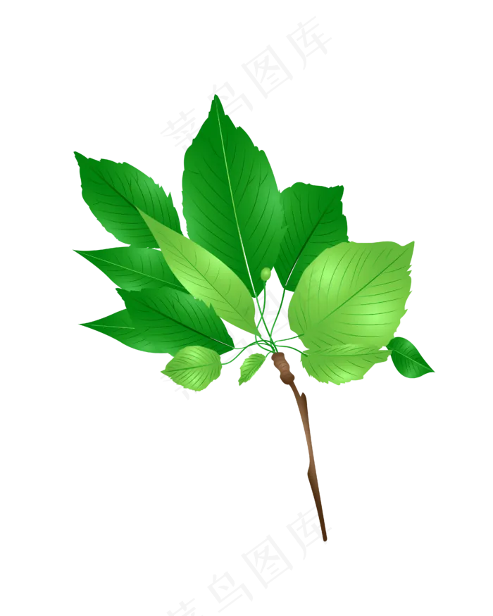 矢量免扣卡通树叶(4167*5208px 300 dpi )ai矢量模版下载