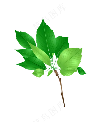 矢量免扣卡通树叶