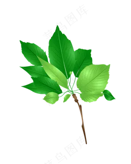 矢量免扣卡通树叶 矢量免扣卡通树叶