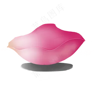 一朵落地粉色花瓣