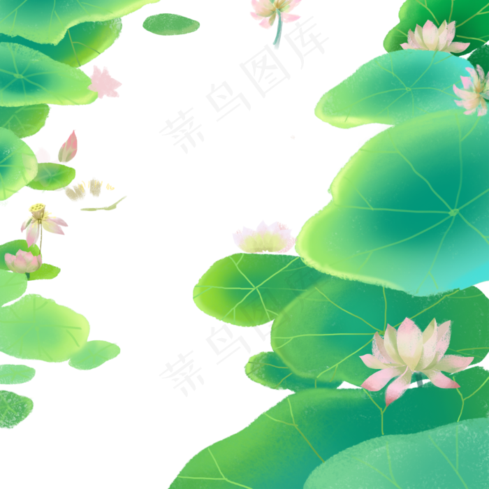 绿色的池塘荷叶免抠图