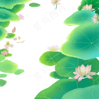绿色的池塘荷叶免抠图
