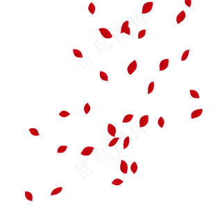 情人节花瓣飘落