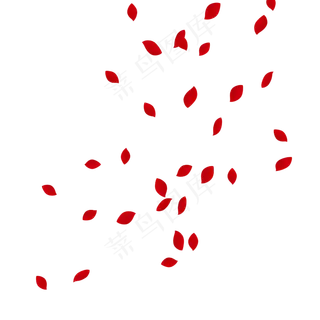 情人节花瓣飘落