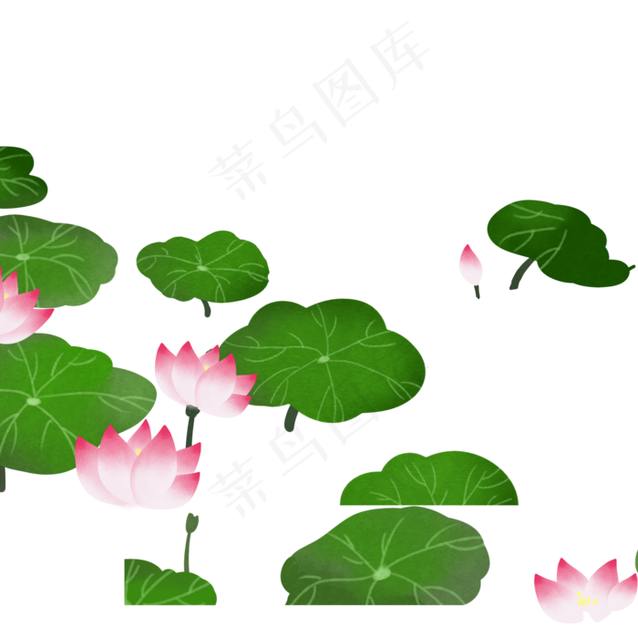 荷花和荷叶(2000X2000(DPI:300))psd模版下载