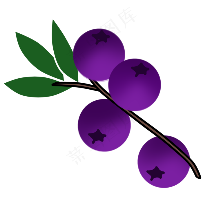 一串新鲜的蓝莓水果