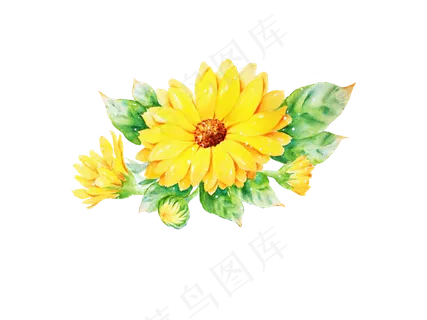 水彩植物卡通手绘