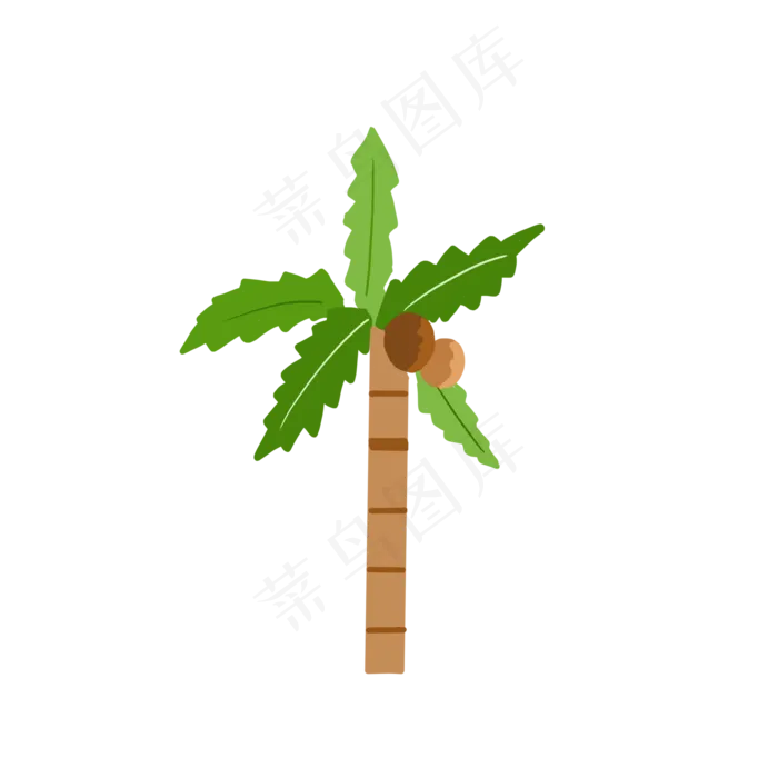 春天夏天茂盛的椰子树
