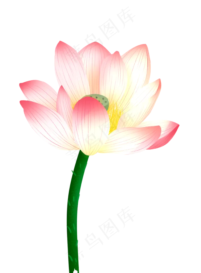 节气夏日荷花(1941X2641(DPI:300))psd模版下载