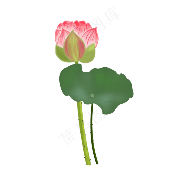 荷花元素设计2(2000X2000(DPI:300))psd模版下载