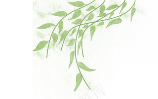 随风飘扬的柳叶