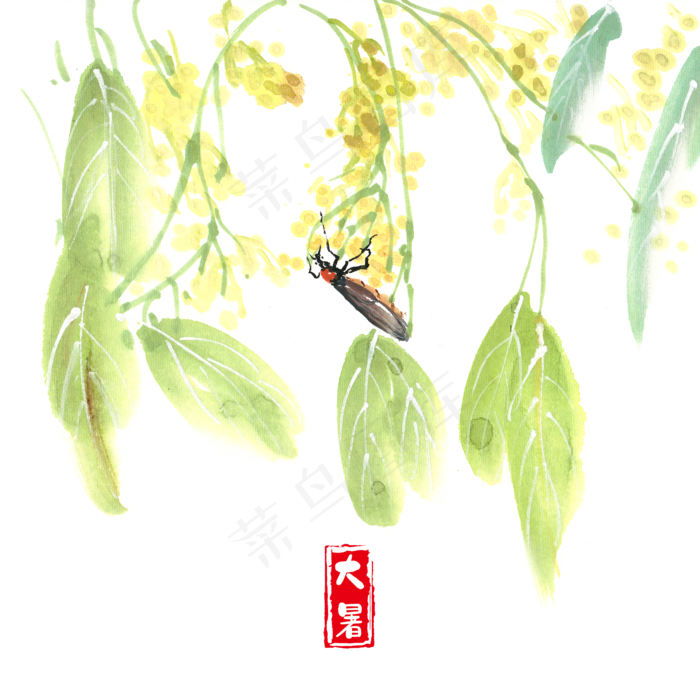 大暑绿叶与昆虫