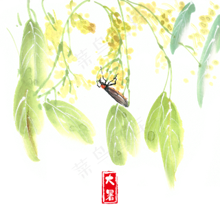 大暑绿叶与昆虫