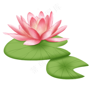 中国风粉色荷花插图