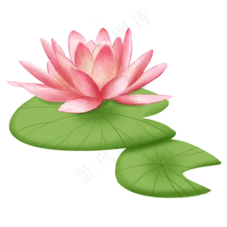 中国风粉色荷花插图