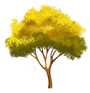 一棵树黄色叶子树木,免抠元素