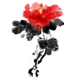 牡丹水墨中国风