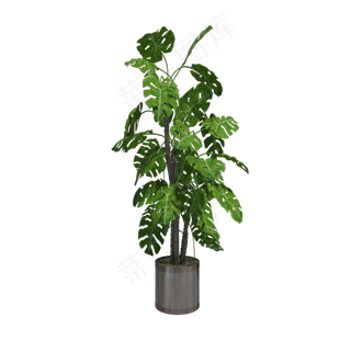 绿色植物家居盆栽,免抠元素