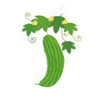 立秋苦瓜手绘矢量素材