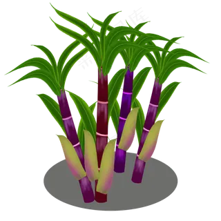 水果甘蔗实心草本甜丝丝