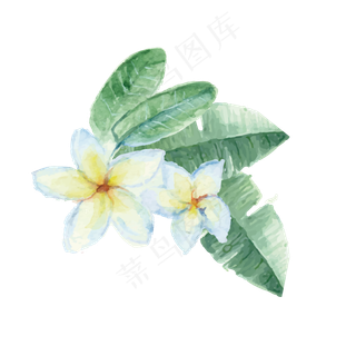 夏天暑假夏至植物装饰素材