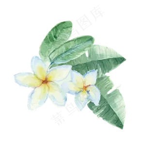 夏天暑假夏至植物装饰素材 夏天暑假夏至植物装饰素材