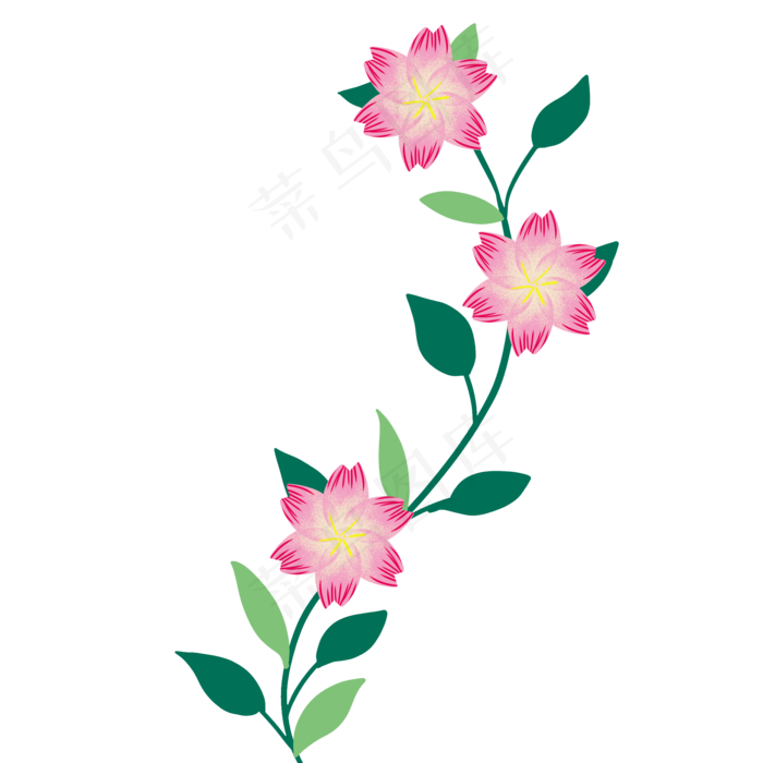 粉色花朵花藤