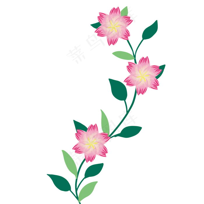 粉色花朵花藤
