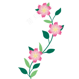 粉色花朵花藤