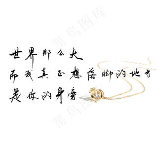 钢笔手写文艺情话表白520艺术字