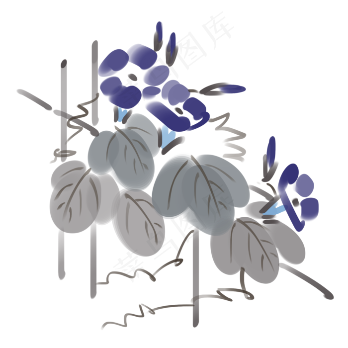 紫色牵牛花装饰插画