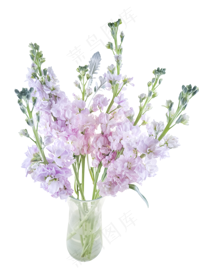 花瓶里的鲜花,免抠元素