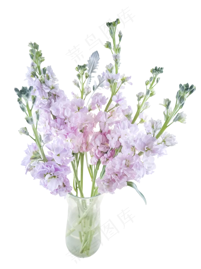 花瓶里的鲜花,免抠元素(2000*2670px 300 dpi )psd模版下载