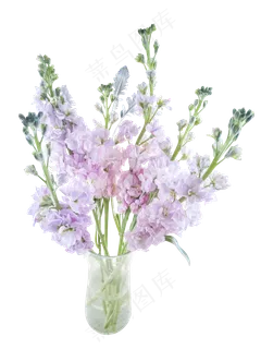 花瓶里的鲜花,免抠元素 花瓶里的鲜花,免抠元素
