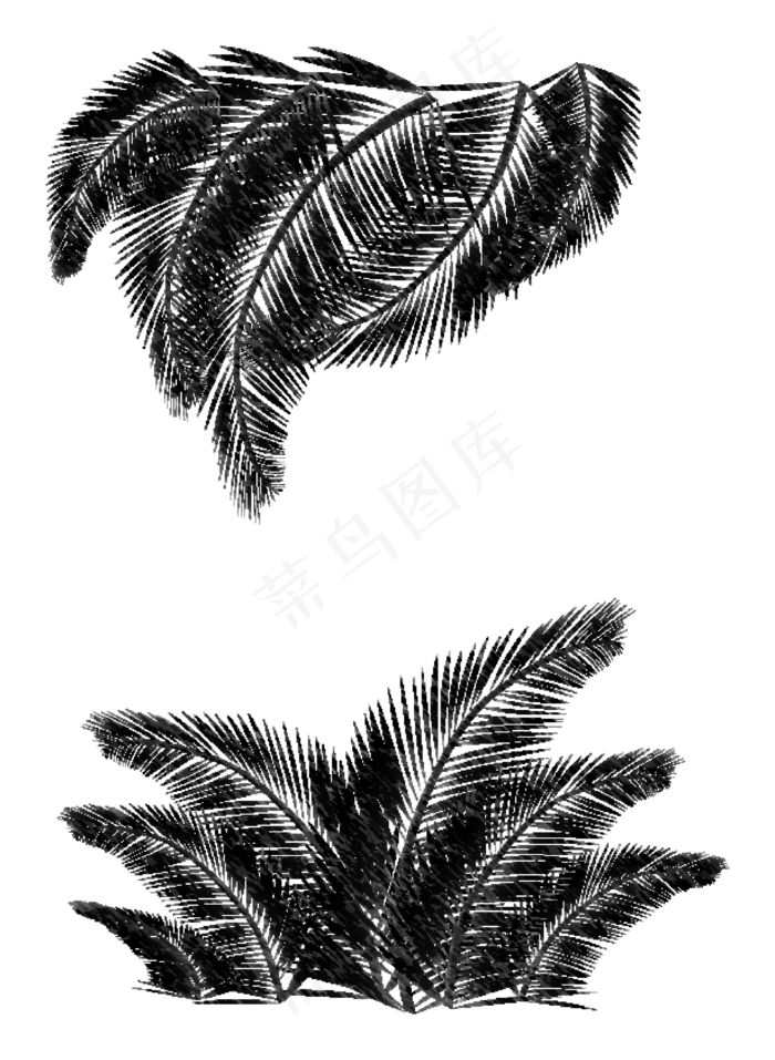 素描叶子(2559*3497px 300 dpi )ai矢量模版下载